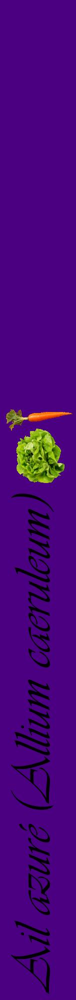Étiquette de : Allium caeruleum - format a - style noire47viv avec comestibilité simplifiée