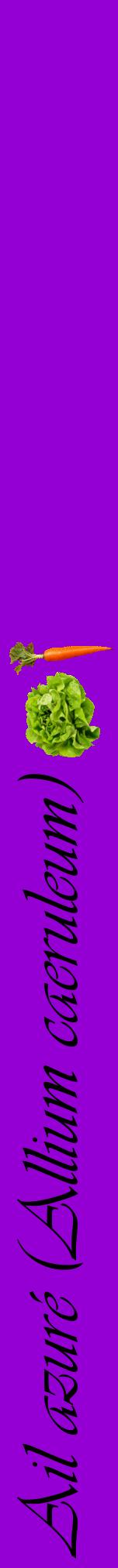 Étiquette de : Allium caeruleum - format a - style noire48viv avec comestibilité simplifiée