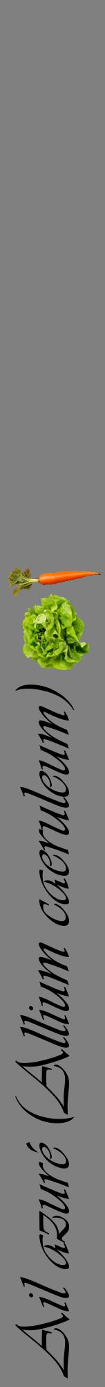Étiquette de : Allium caeruleum - format a - style noire57viv avec comestibilité simplifiée