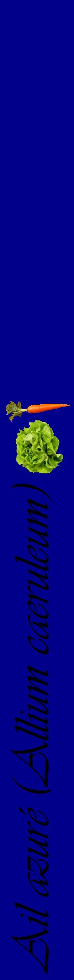 Étiquette de : Allium caeruleum - format a - style noire7viv avec comestibilité simplifiée