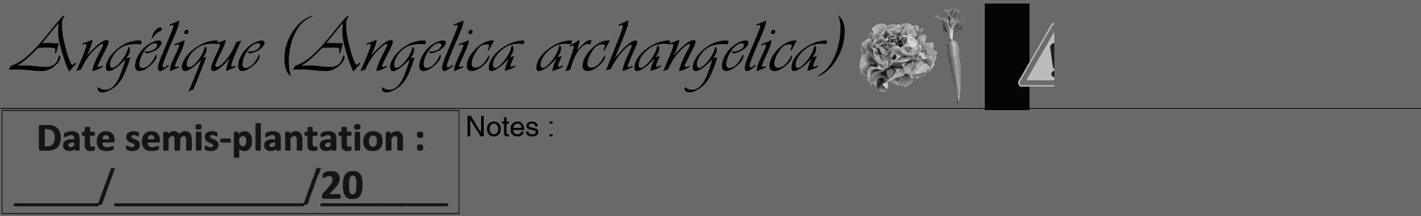 Étiquette de : Angelica archangelica - format a - style noire11viv avec comestibilité simplifiée