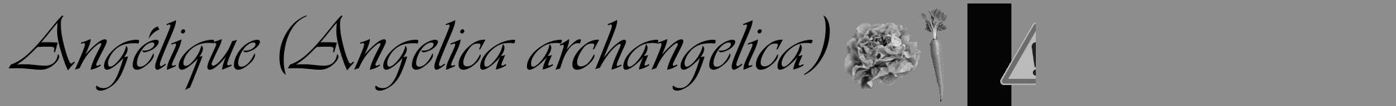 Étiquette de : Angelica archangelica - format a - style noire2viv avec comestibilité simplifiée