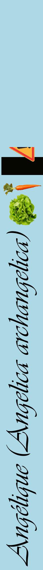 Étiquette de : Angelica archangelica - format a - style noire0viv avec comestibilité simplifiée