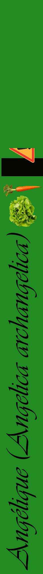 Étiquette de : Angelica archangelica - format a - style noire10viv avec comestibilité simplifiée