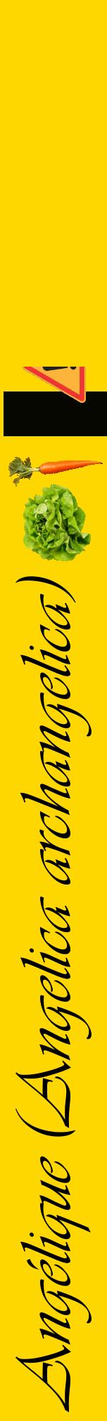 Étiquette de : Angelica archangelica - format a - style noire21viv avec comestibilité simplifiée