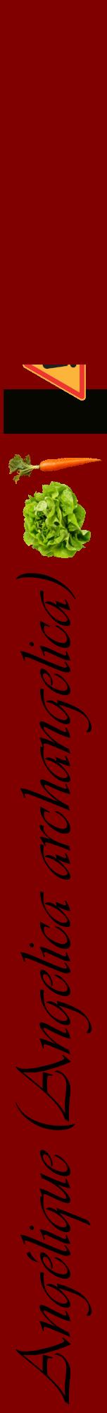 Étiquette de : Angelica archangelica - format a - style noire29viv avec comestibilité simplifiée
