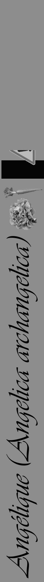 Étiquette de : Angelica archangelica - format a - style noire2viv avec comestibilité simplifiée - position verticale