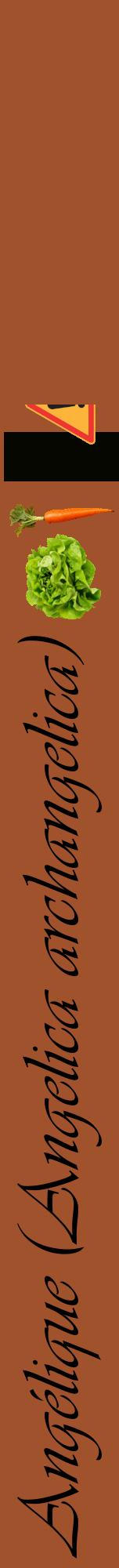 Étiquette de : Angelica archangelica - format a - style noire32viv avec comestibilité simplifiée