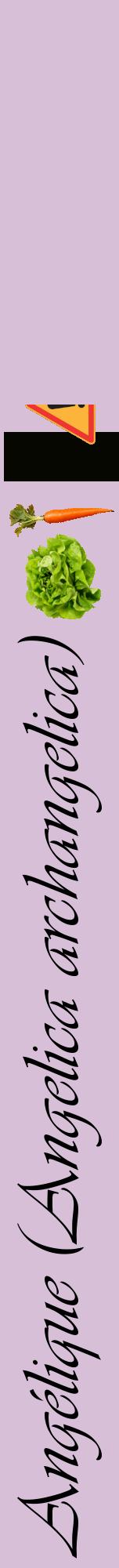 Étiquette de : Angelica archangelica - format a - style noire54viv avec comestibilité simplifiée