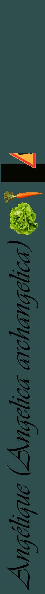 Étiquette de : Angelica archangelica - format a - style noire58viv avec comestibilité simplifiée