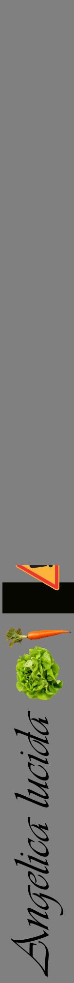 Étiquette de : Angelica lucida - format a - style noire57viv avec comestibilité simplifiée