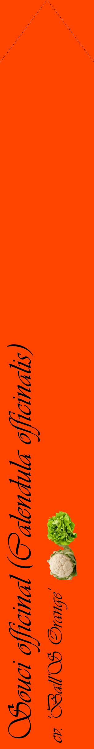Étiquette de : Calendula officinalis cv. 'Ball'S Orange' - format c - style noire26_simpleviv avec comestibilité simplifiée