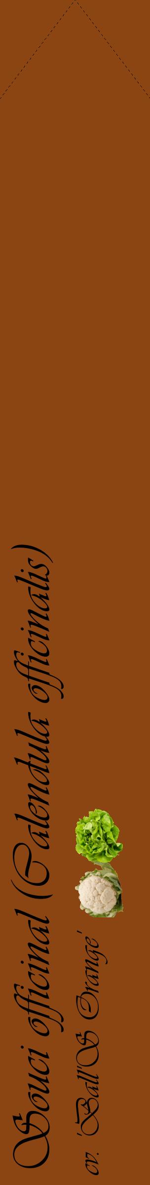 Étiquette de : Calendula officinalis cv. 'Ball'S Orange' - format c - style noire30_simpleviv avec comestibilité simplifiée