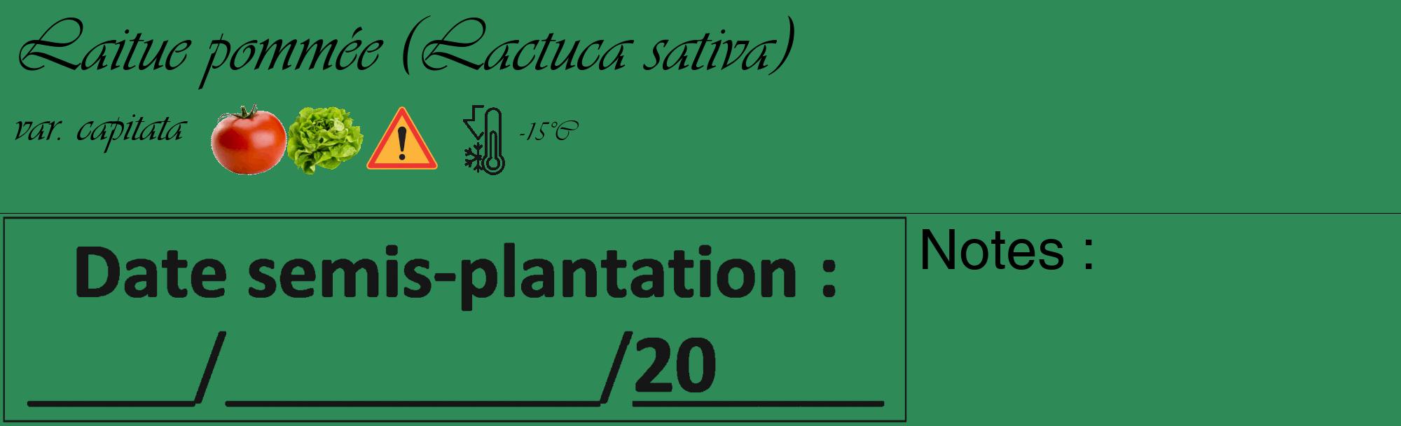Étiquette de : Lactuca sativa var. capitata - format c - style noire11_basique_basiqueviv avec comestibilité simplifiée