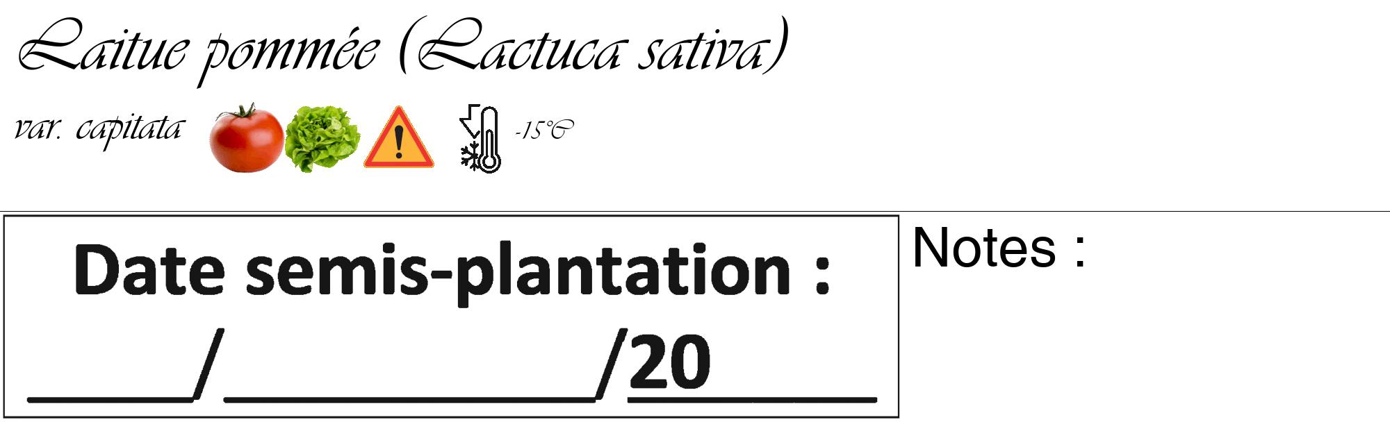 Étiquette de : Lactuca sativa var. capitata - format c - style noire60_basique_basiqueviv avec comestibilité simplifiée