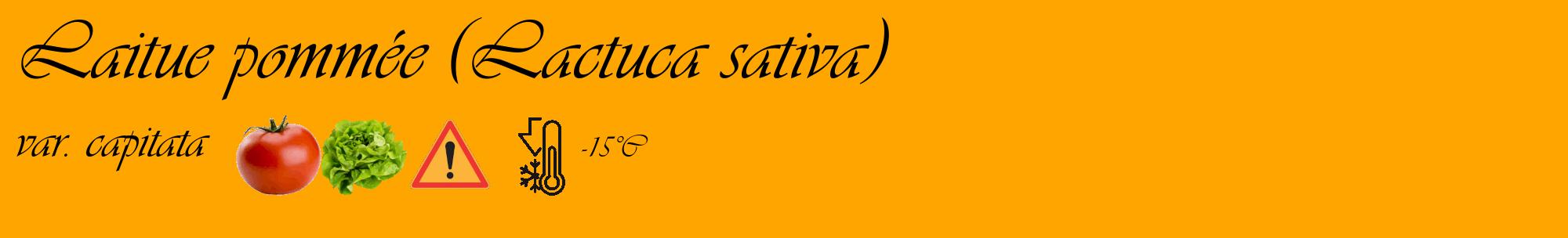 Étiquette de : Lactuca sativa var. capitata - format c - style noire22_basique_basiqueviv avec comestibilité simplifiée