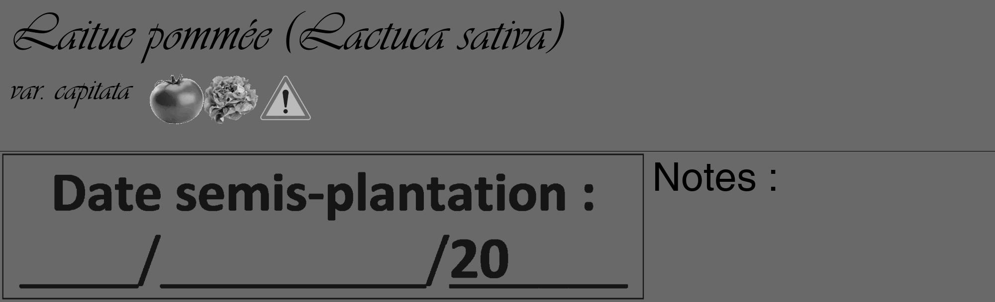 Étiquette de : Lactuca sativa var. capitata - format c - style noire11_basique_basiqueviv avec comestibilité simplifiée