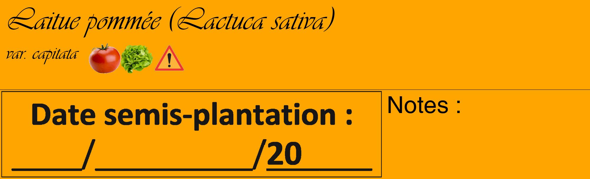 Étiquette de : Lactuca sativa var. capitata - format c - style noire22_basique_basiqueviv avec comestibilité simplifiée