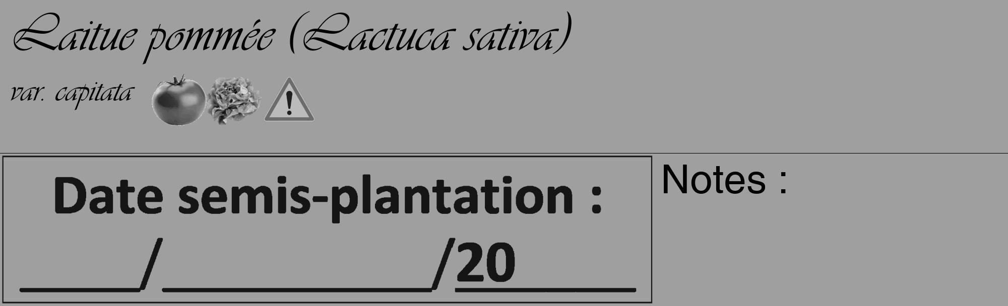 Étiquette de : Lactuca sativa var. capitata - format c - style noire24_basique_basiqueviv avec comestibilité simplifiée