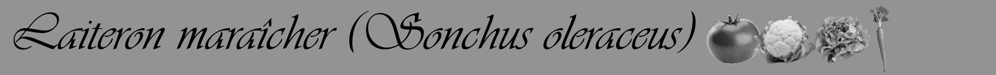 Étiquette de : Sonchus oleraceus - format a - style noire44viv avec comestibilité simplifiée