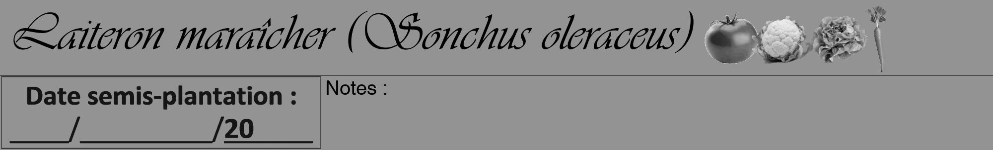 Étiquette de : Sonchus oleraceus - format a - style noire44viv avec comestibilité simplifiée
