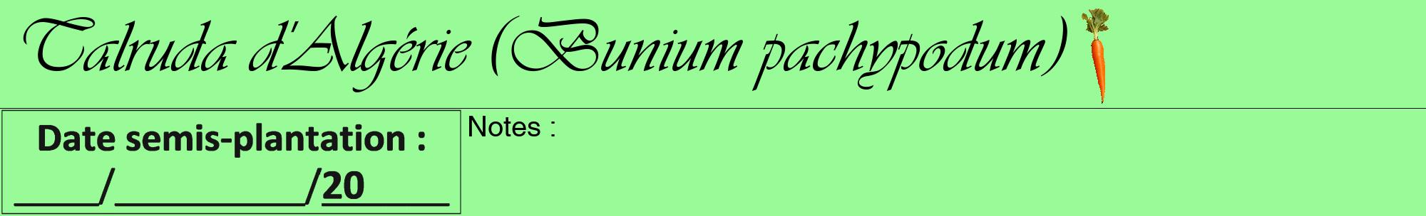 Étiquette de : Bunium pachypodum - format a - style noire14viv avec comestibilité simplifiée