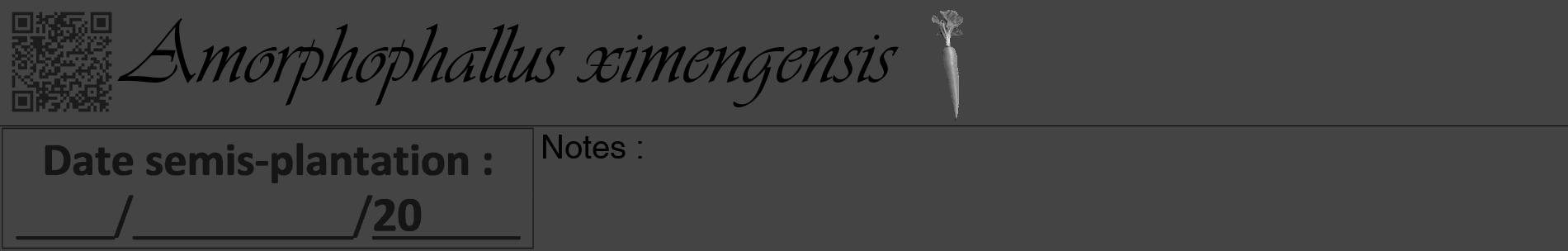 Étiquette de : Amorphophallus ximengensis - format a - style noire48basiqueviv avec qrcode et comestibilité simplifiée