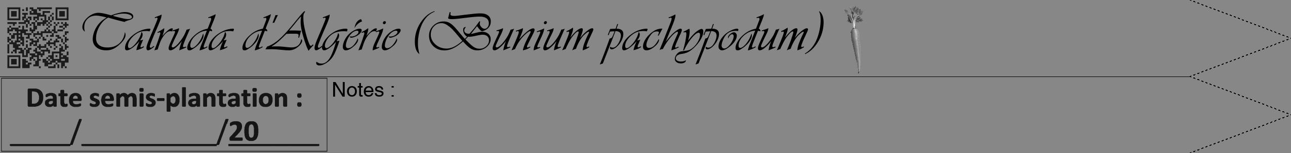 Étiquette de : Bunium pachypodum - format b - style noire12viv avec qrcode et comestibilité simplifiée