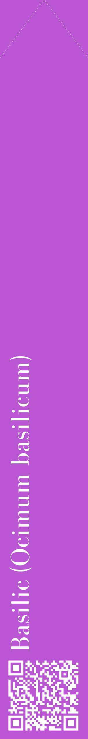 Étiquette de : Ocimum basilicum - format c - style blanche50_simplebod avec qrcode et comestibilité