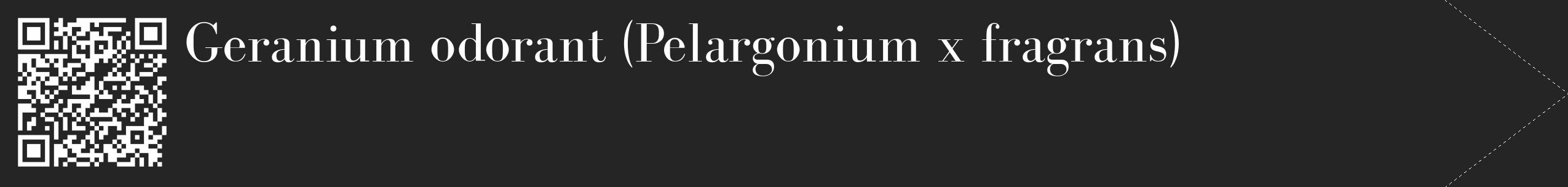 Étiquette de : Pelargonium x fragrans - format c - style blanche47_simple_simplebod avec qrcode et comestibilité