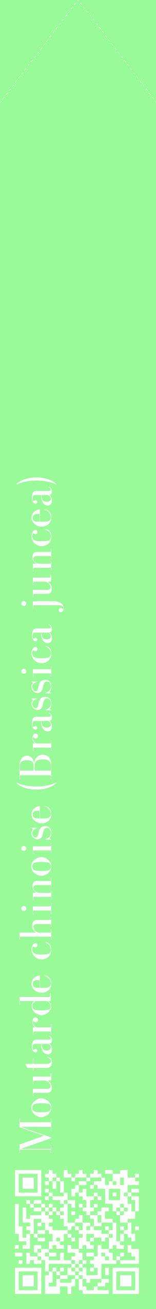 Étiquette de : Brassica juncea - format c - style blanche14_simplebod avec qrcode et comestibilité