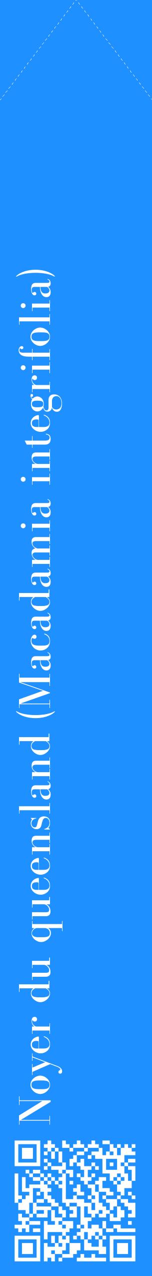Étiquette de : Macadamia integrifolia - format c - style blanche3_simplebod avec qrcode et comestibilité