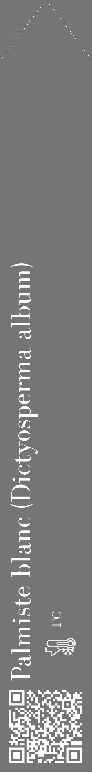 Étiquette de : Dictyosperma album - format c - style blanche5_simple_simplebod avec qrcode et comestibilité - position verticale