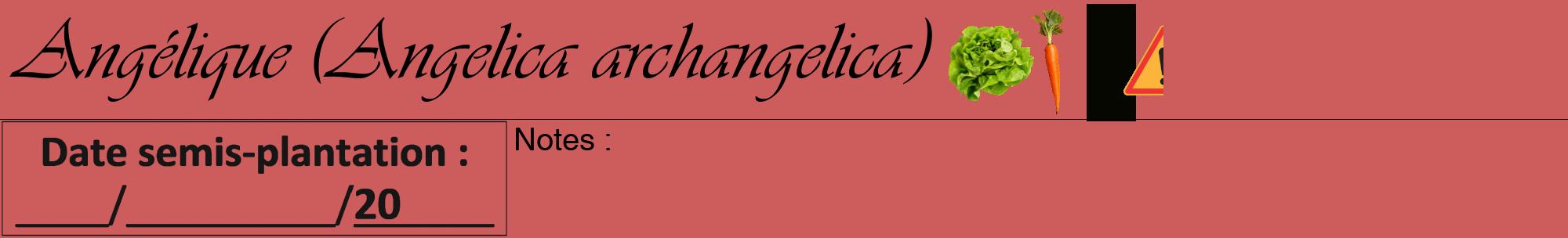 Étiquette de : Angelica archangelica - format a - style noire35viv avec comestibilité simplifiée