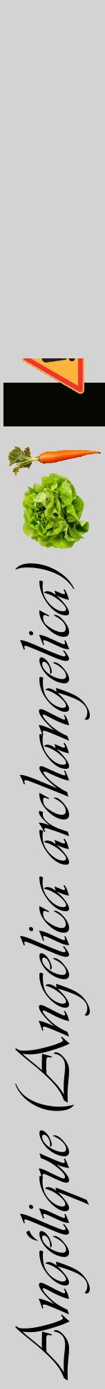 Étiquette de : Angelica archangelica - format a - style noire56viv avec comestibilité simplifiée