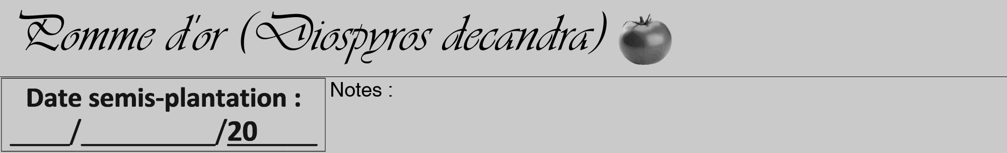 Étiquette de : Diospyros decandra - format a - style noire21viv avec comestibilité simplifiée