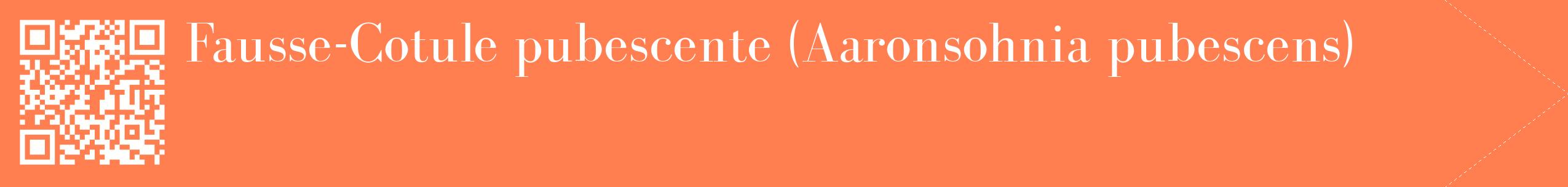 étiquette 2