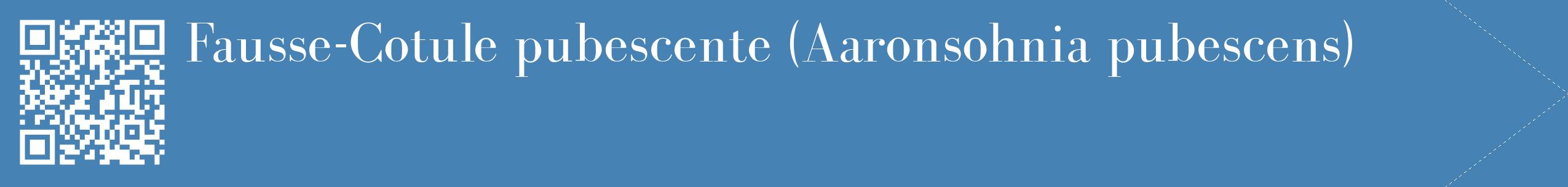 étiquette 2
