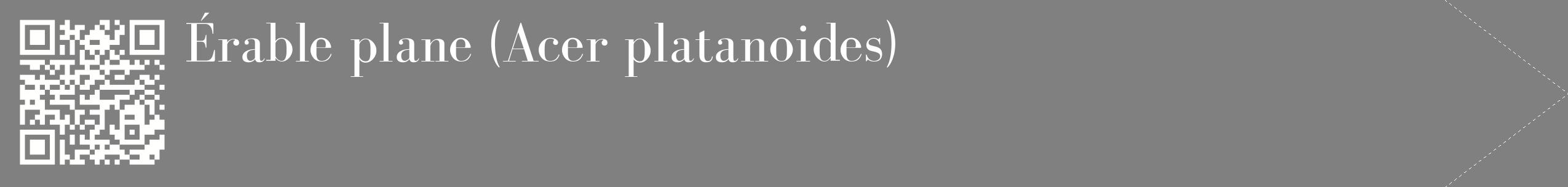 étiquette 2