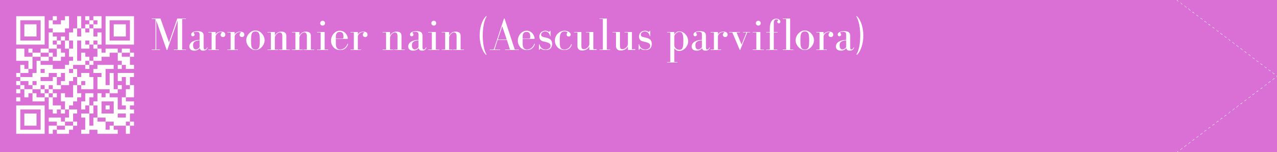 étiquette 2