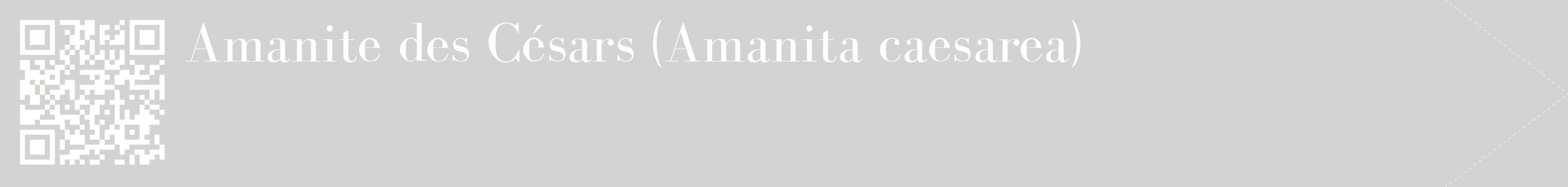 étiquette 2
