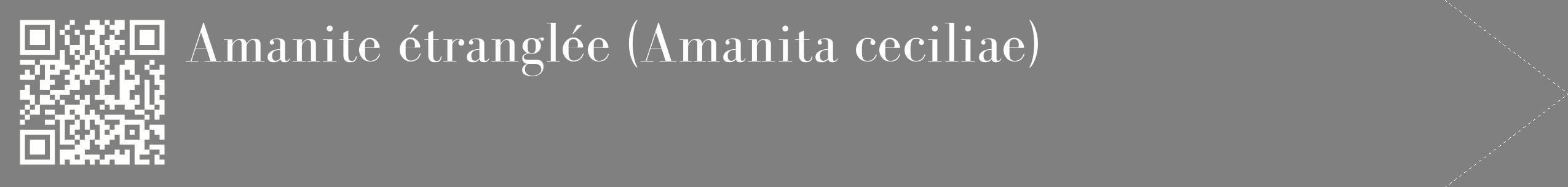 étiquette 2