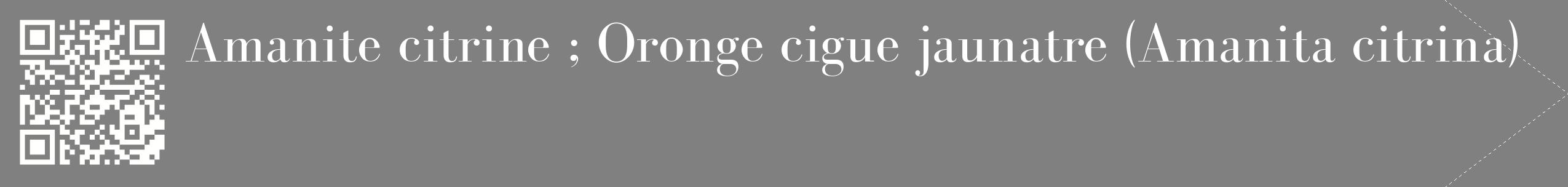 étiquette 2