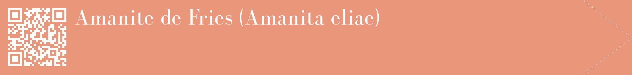 étiquette 2