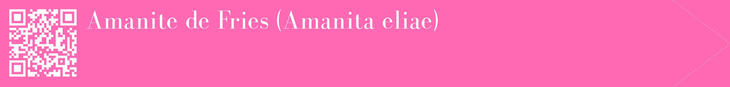 étiquette 2