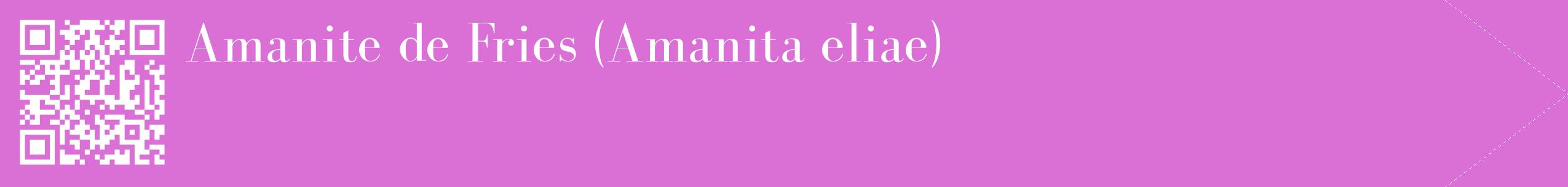 étiquette 2