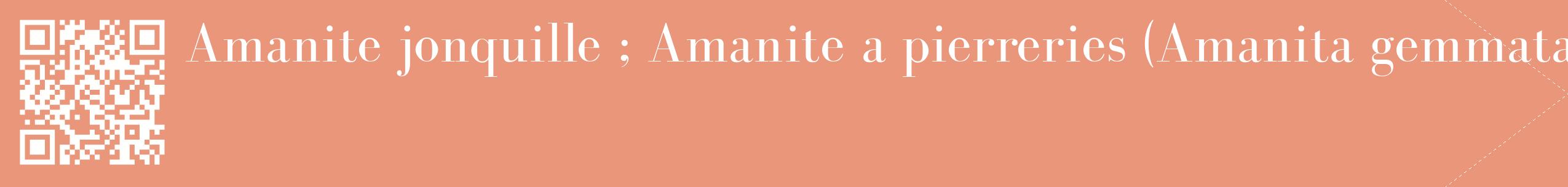 étiquette 2