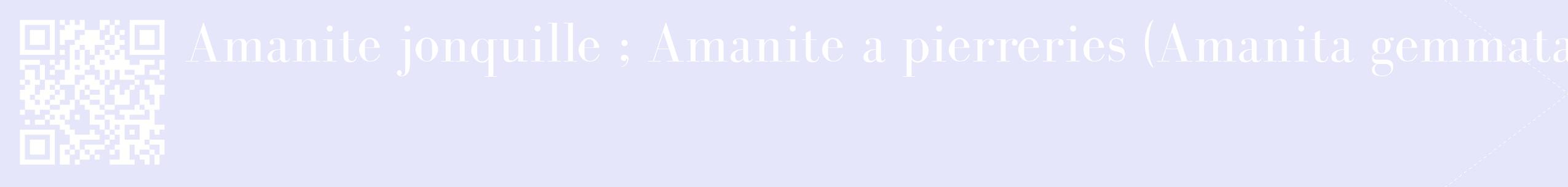 étiquette 2