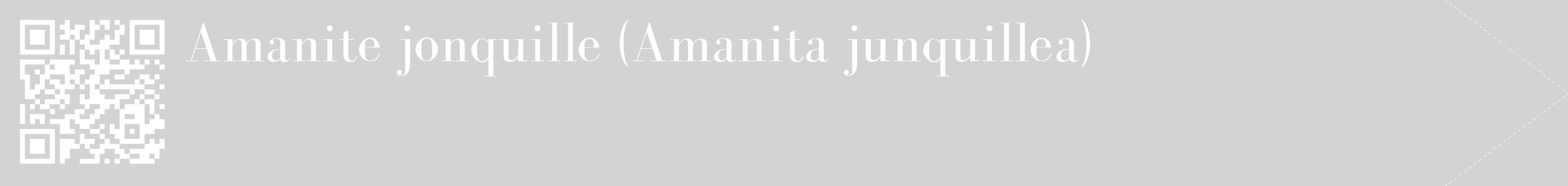 étiquette 2