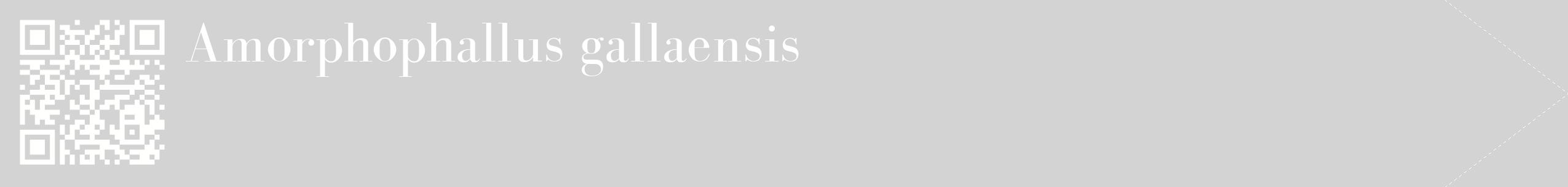 étiquette 2